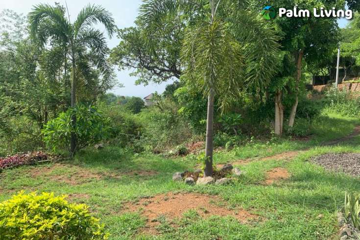 Land plot with Small Two Storey House