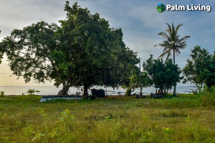 Beachfront Land In Brongbong 5350m2