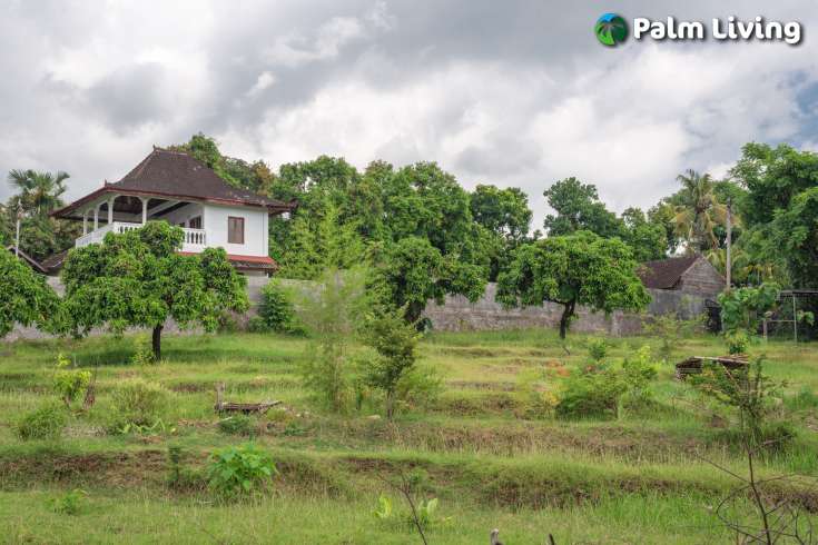 Prime Land for Sale in Kayuputih