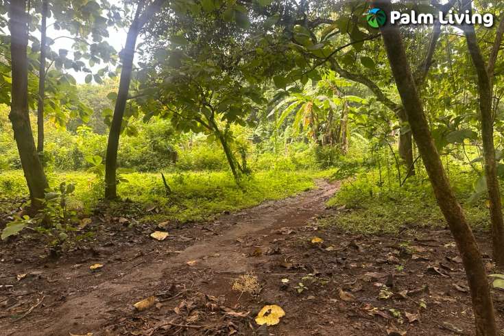Simple & Affordable Land for Sale