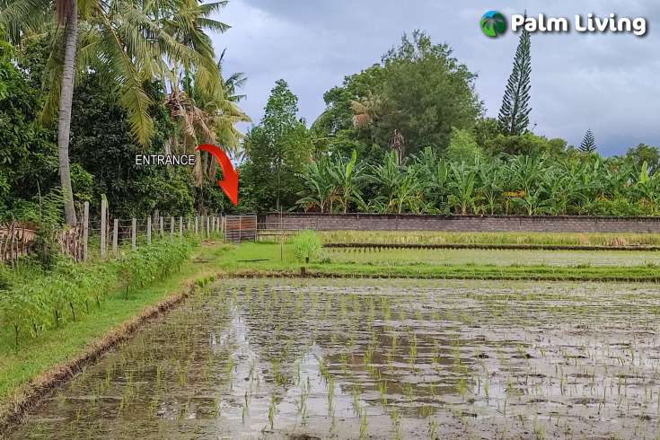 Huge Plot of Land for Sale In Lovina