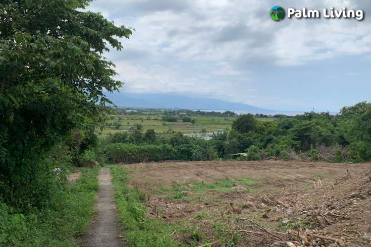 Hillside Land For Sale Bali