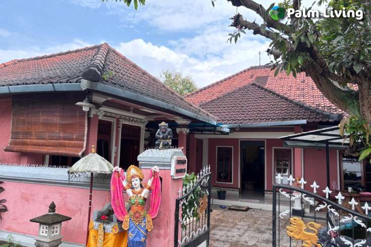 Minimalist House for Sale in Central Lovina