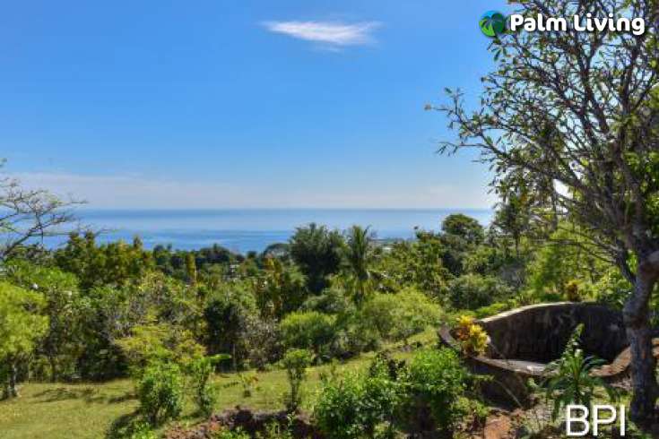 Land for Sale in Bali: 180 Degree Views