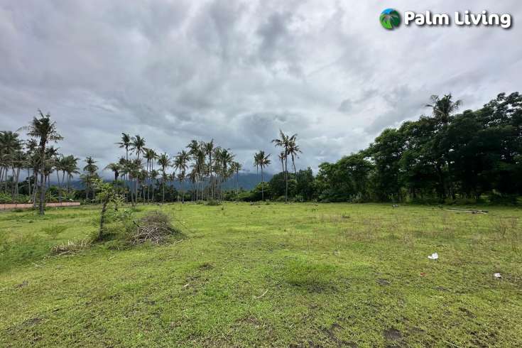 Large Plot of Land for Sale 1.6ha