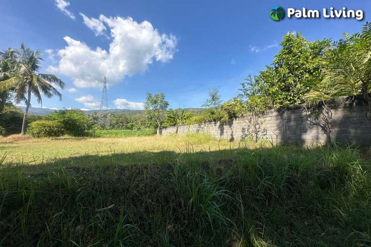 Primesized Land near Lovina for Sale