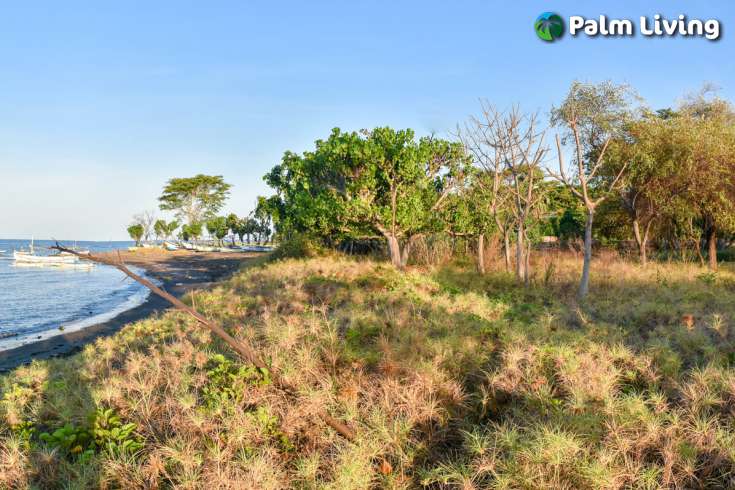 Beachfront Land In Sumberkima Bali