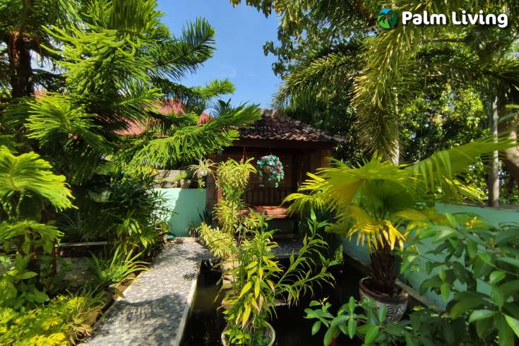 Hillside Villa for Sale in North Bali