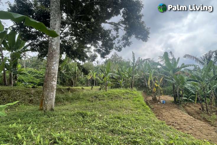 Tegallalang Land for Sale with Good View
