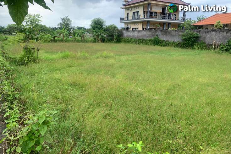 Strategic Plot in Lovina Central