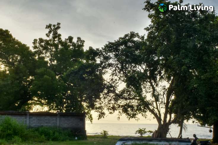 Beachfront Land In Brongbong 5350m2
