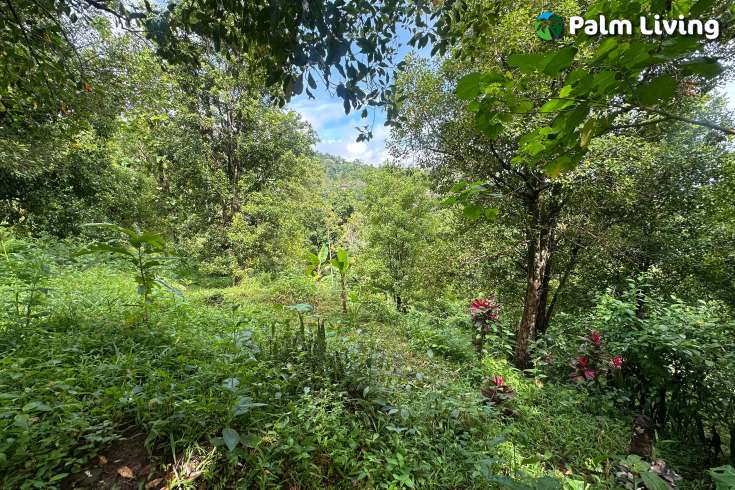 Land For Sale in Panji with Beautiful Sea View