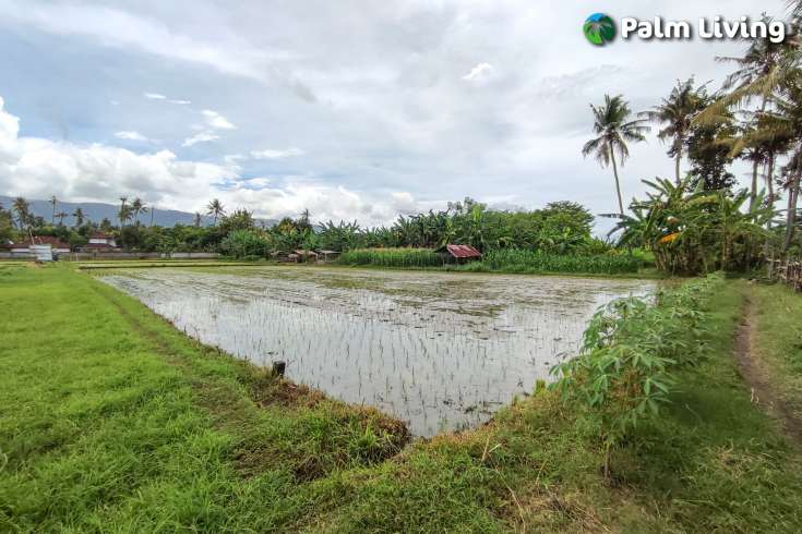 Huge Plot of Land for Sale In Lovina