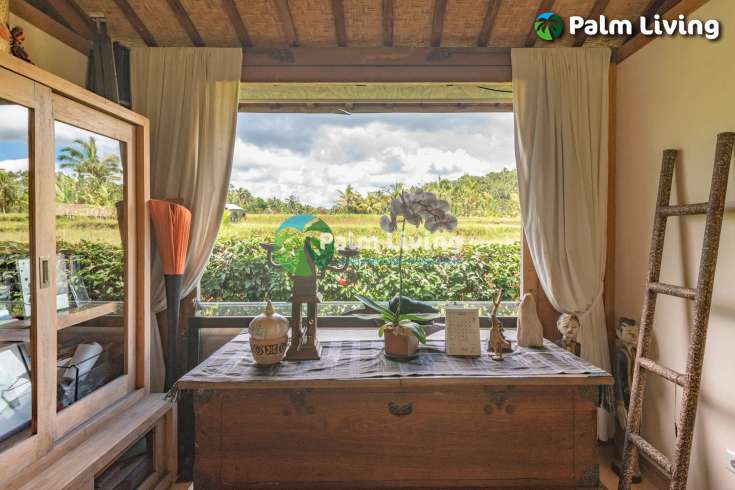 Guesthouse for Sale in Rice Fields