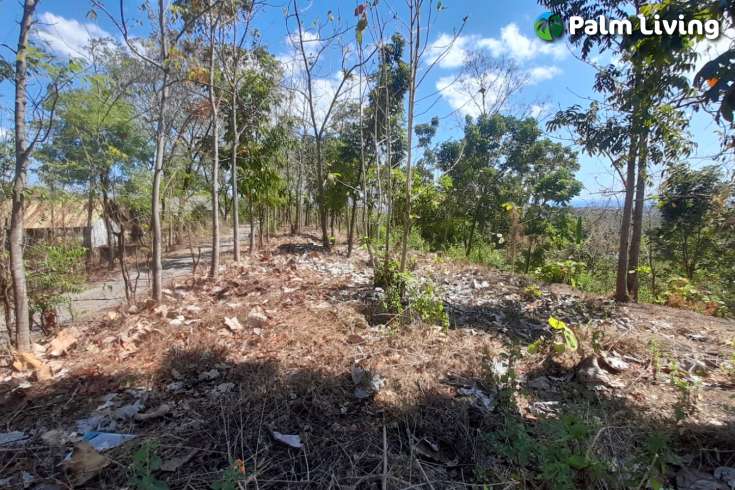 Hillside Land For Sale, North Bali