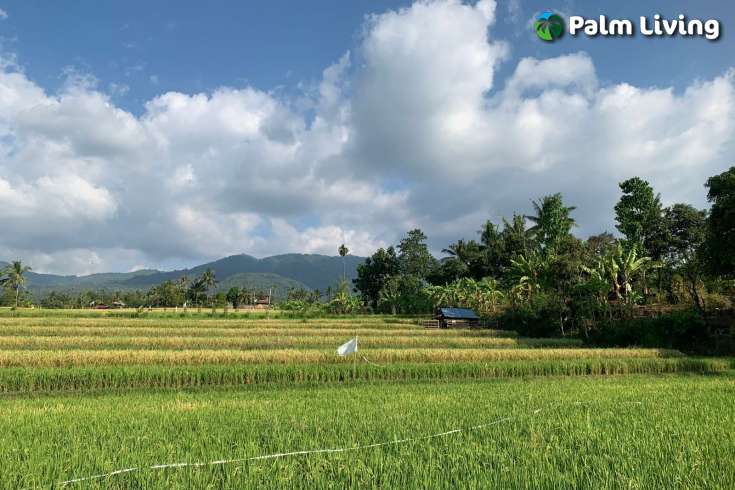 Scenic Land Plot in Panji for Sale