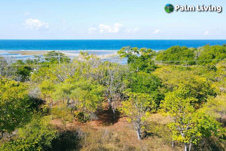 Huge Beachfront Land in Hamba Praing Sumba