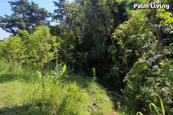 5490m2 of Land for Sale in Kayuputih