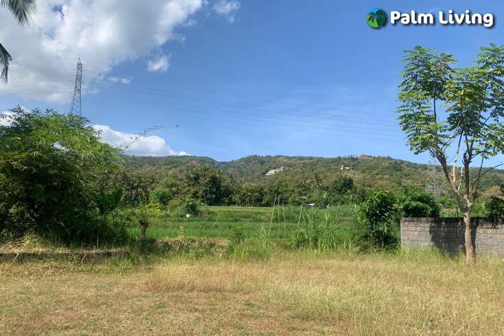 Primesized Land near Lovina for Sale