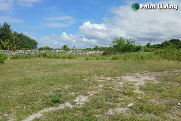 Two Vast Beachfront Plots for Sale in Londolima