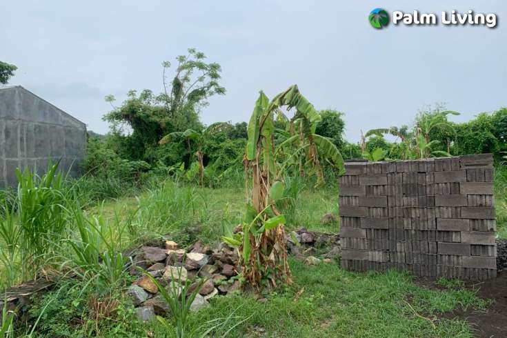 Ready to Build: A Plot Close to Lovina
