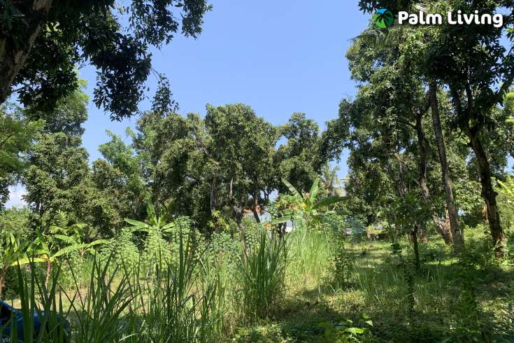 Landplot for Sale in Kaliasem