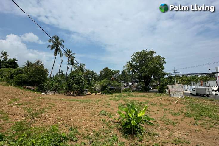 Freehold land for sale in Central Lovina