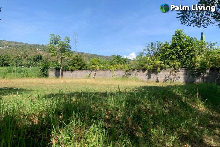 Primesized Land near Lovina for Sale