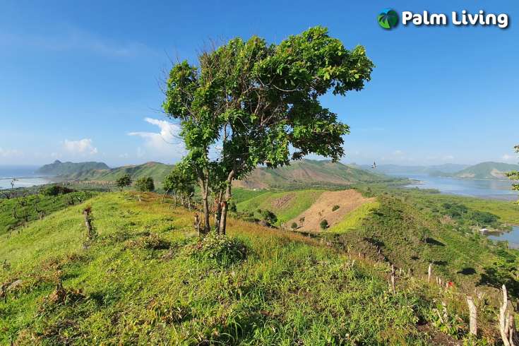 Beautiful Land in South Lombok for Sale