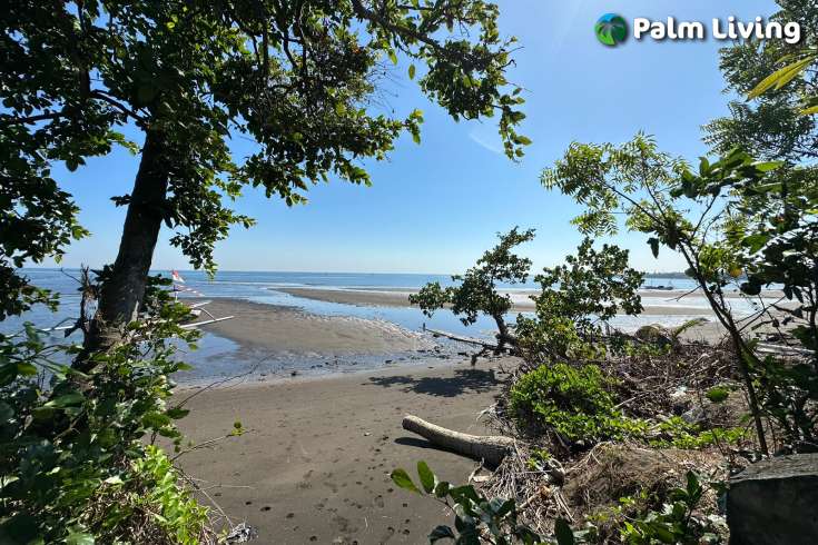 Beachfront Land Close to Central Lovina