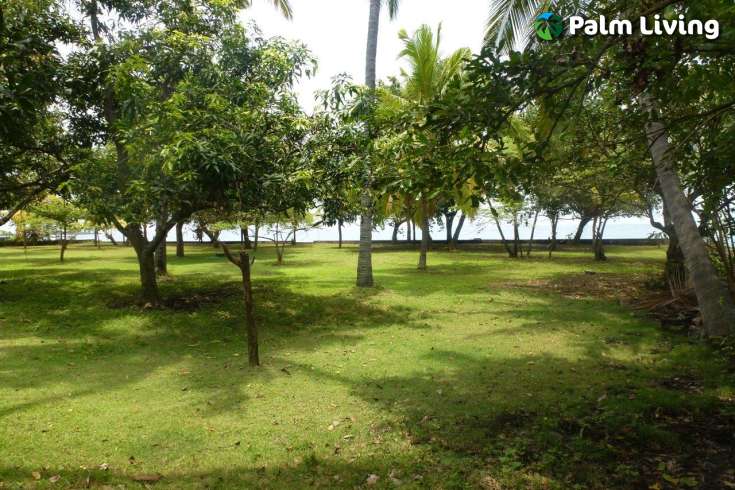 Prime Land for Sale - Development