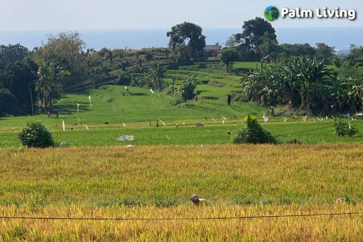Scenic Land Plot in Panji for Sale