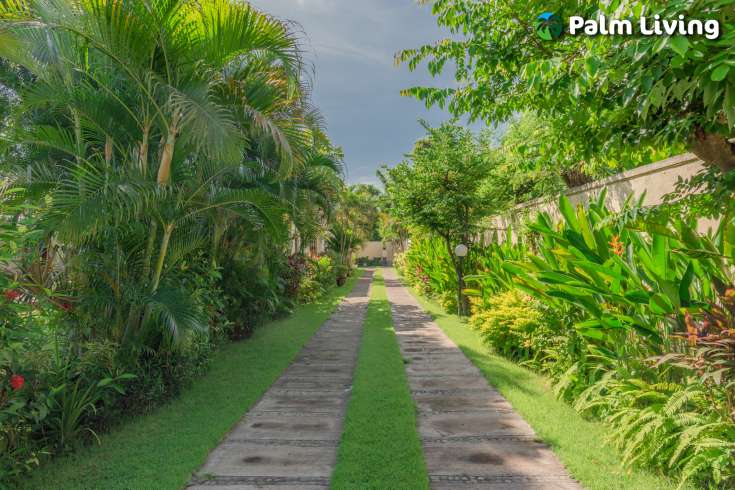 Villa on Huge Land Plot in Pemuteran