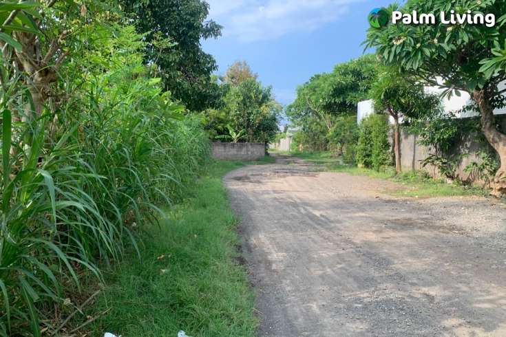 Ready to Build: A Plot Close to Lovina