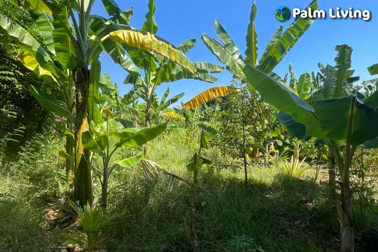 Land Plot in Kayuputih for Sale
