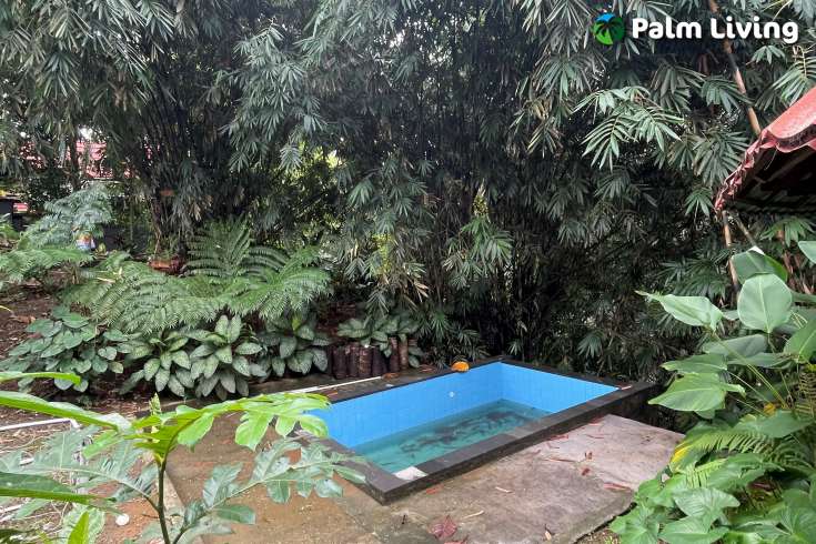 Unique Villa Surrounded by Nature