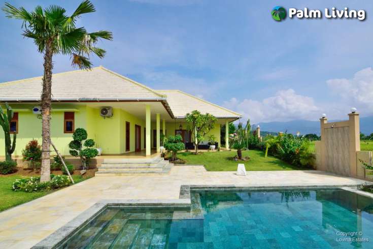 Large Villa In Rice Paddies