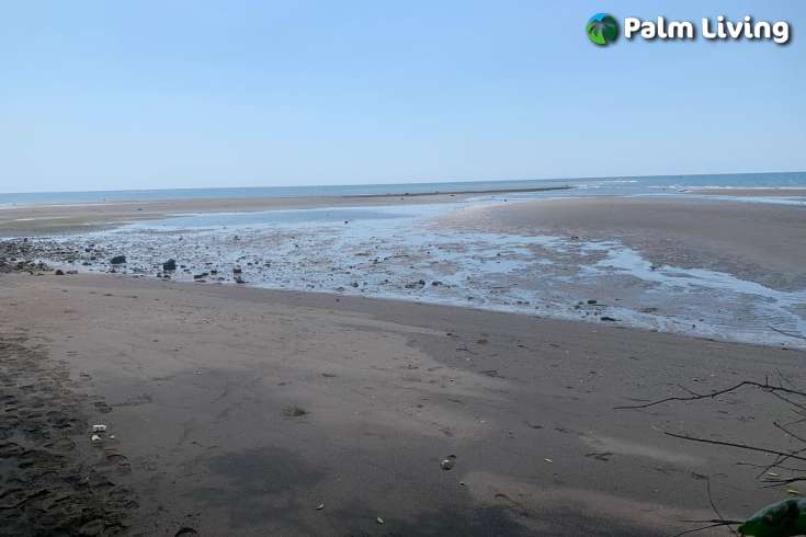 Beachfront Land Close to Central Lovina