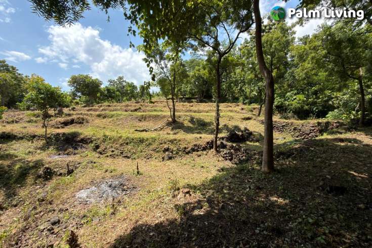 Ocean View Land for Sale in Pacung, North Bali