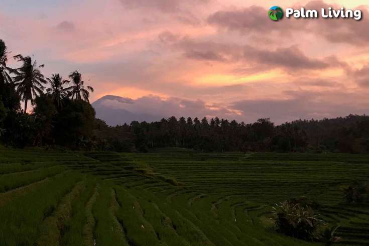 Tabanan mountain resort for sale