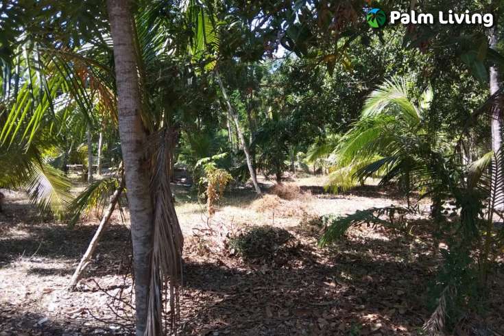 Beachfront Land In Lombok For Sale