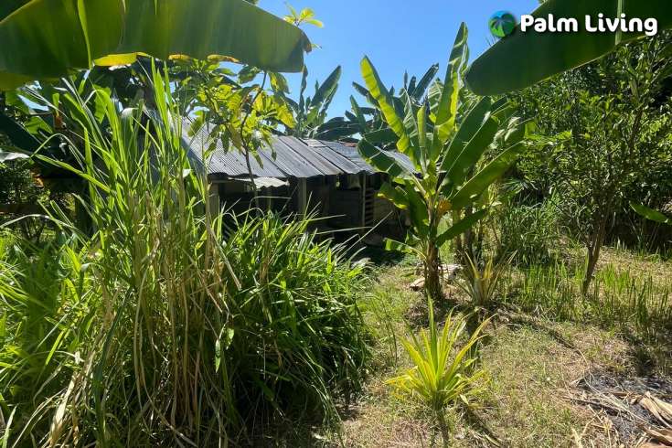 Land Plot in Kayuputih for Sale