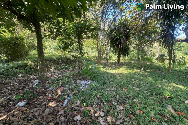 Hillside Plot in Kayuputih for Sale