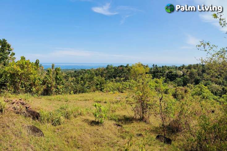 Hillside Land close to Central Lovina