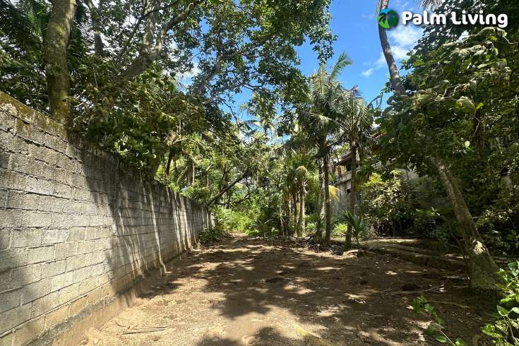 Rare Beachfront Land Close to Lovina