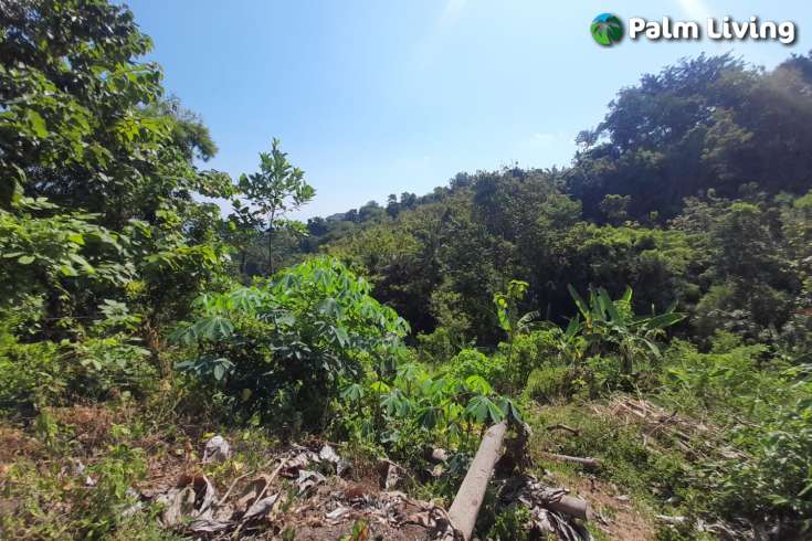 5490m2 of Land for Sale in Kayuputih