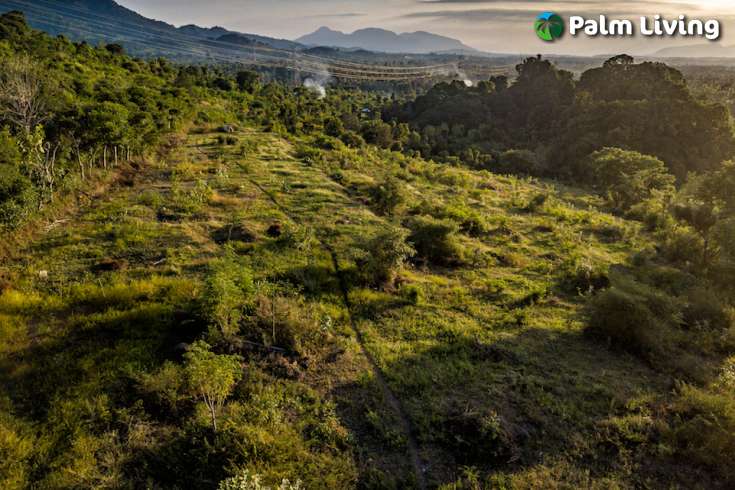 Stunning Land in Sumberkima Hill