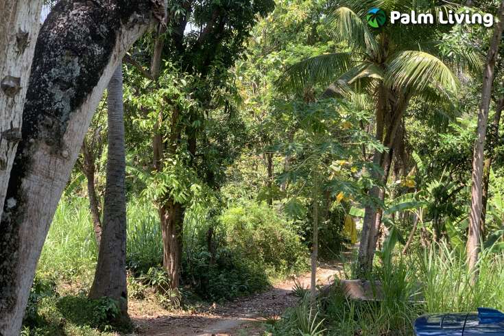 Landplot for Sale in Kaliasem