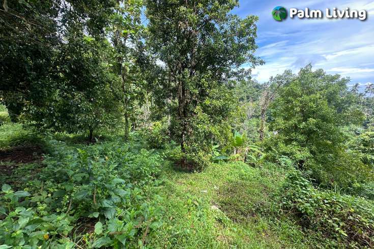 Land For Sale in Panji with Beautiful Sea View