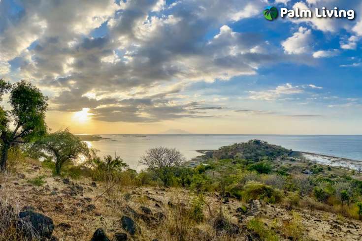 White Sandy Beachfront Land for Sale